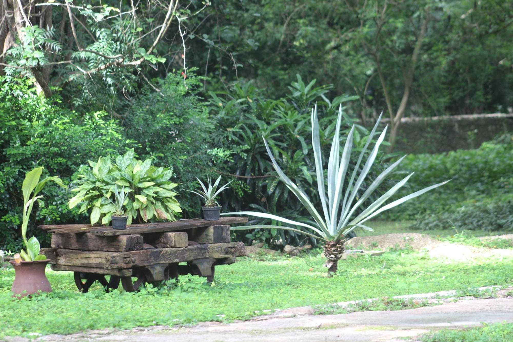 Hacienda San Jose Cholul Tixkokob Exterior foto